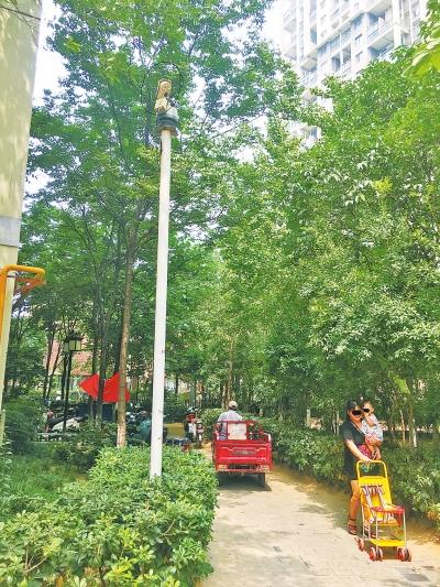 郑州部分小区监控失明成摆设 你们小区的监控好用吗